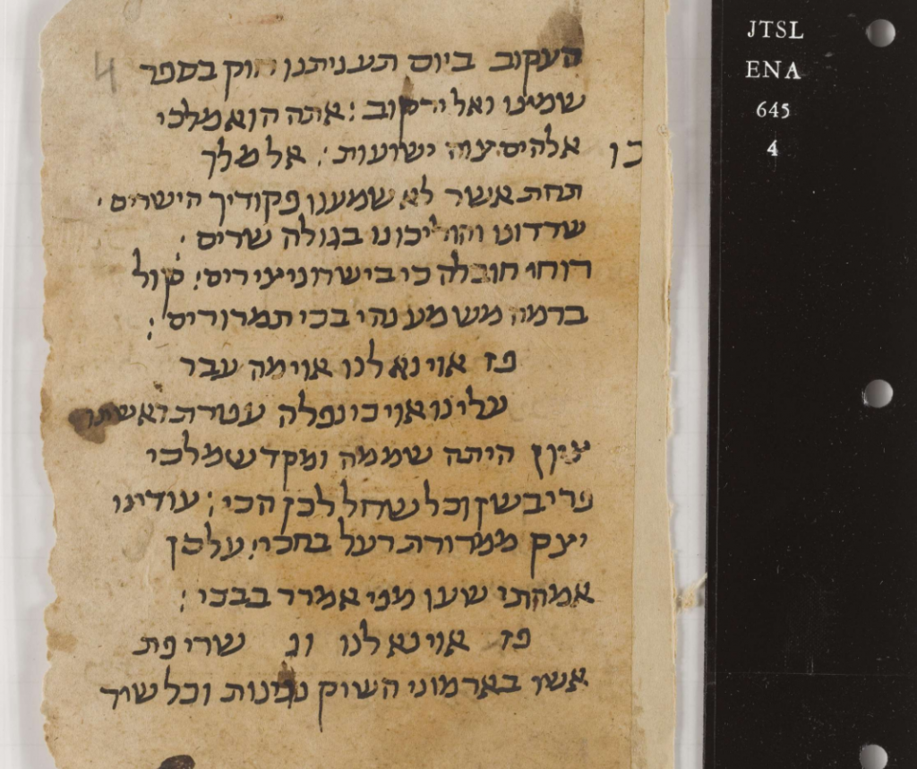 Scribes of the Cairo Geniza